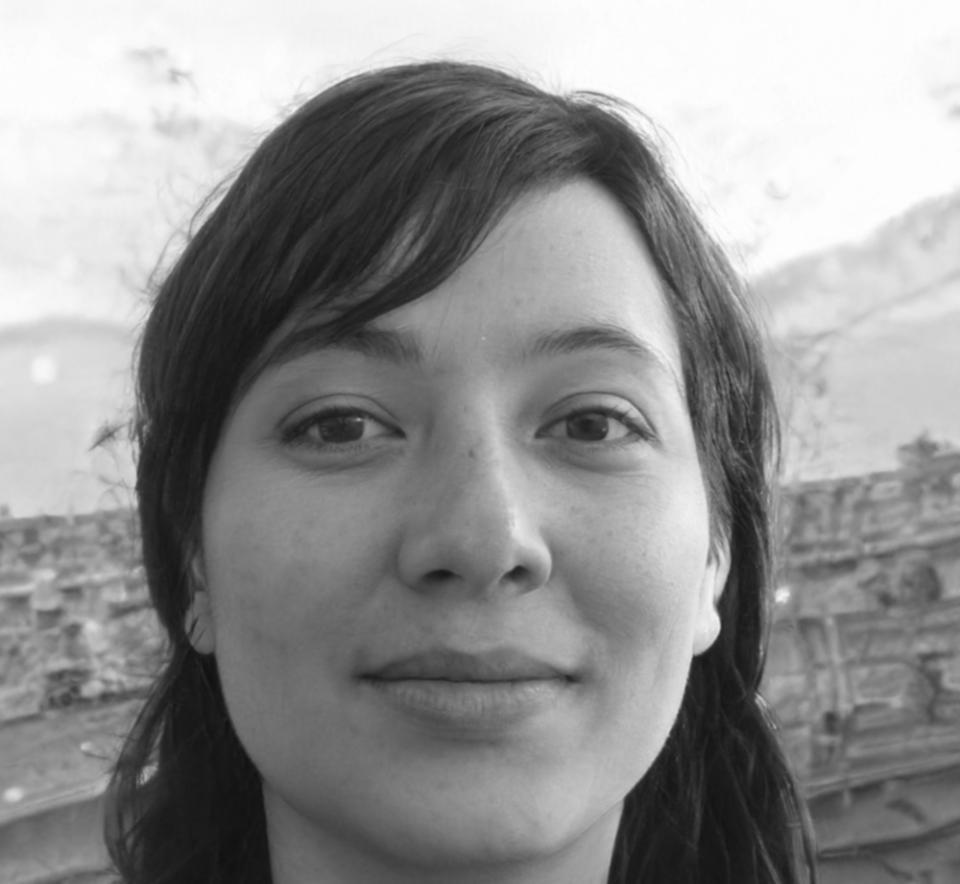 Especialista en contenido educativo